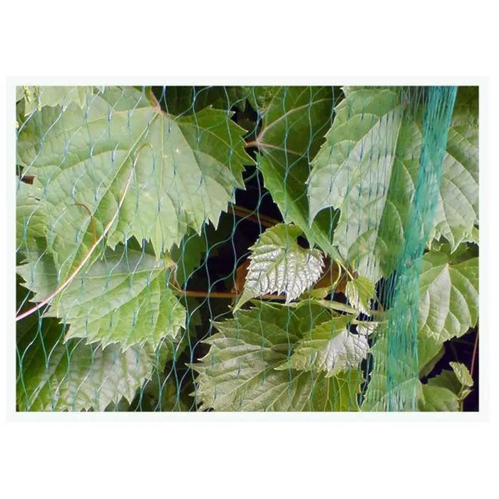 ANTI-BIRD NETTING 5X10M BRADAS AS-BN71919510 - Предпазни мрежи<<<Мрежи и огради<<<Градина<<<Praktiker&&&Предпазни