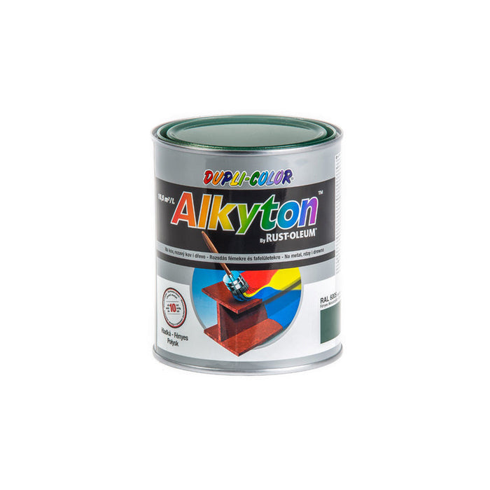 ANTI-CORROSION PAINT 4B1 ALKYTON RAL 6005 DUPLI COLOR - Алкидни и водоразтворими<<<Бои за метал и дърво<<<Бои и