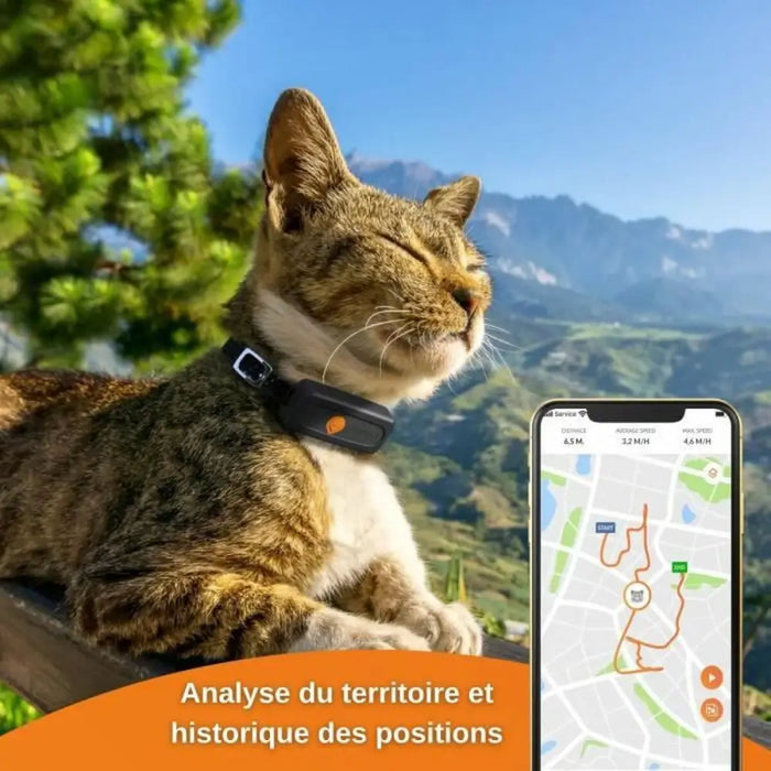 Anti-loss Localiser Weenect Weenect XS GPS Black - Домашни Животни<<<Дом Градина<<<BigBuy&&&Здраве и хигиена<<<Домашни