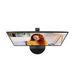 AOC U27B3A 27’’ IPS WLED 3840x2160@60Hz 4ms GtG 350cd m/2 1000:1 DCR 20M:1 Adaptive Sync FlickerFree Low Blue Light