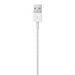 Apple cable USB-A - Lightning 0.5m white (ME291ZM/A) - Cell phone cables<<<HurtelXML&&&Accessories<<<APPLE