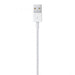 Apple cable USB-A - Lightning 1m white (MXLY2ZM/A) - Cell phone cables<<<HurtelXML&&&Accessories<<<APPLE