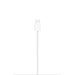Apple MagSafe Charger (2 m) - Accessories<<<APPLE iPhone<<<APPLE<<<PolyComp&&&Аксесоари за преносими