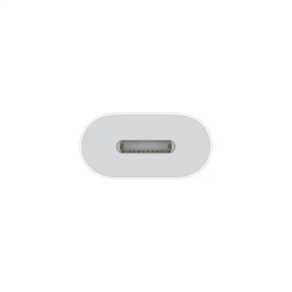 Apple USB-C to Lightning Adapter - Accessories<<<APPLE iPhone<<<APPLE<<<PolyComp&&&AdaptersKBA-ADA<<<Cables
