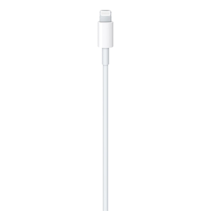 Apple MKQ42ZM/A Lightning - USB-C 480Mb/s cable 2m - white