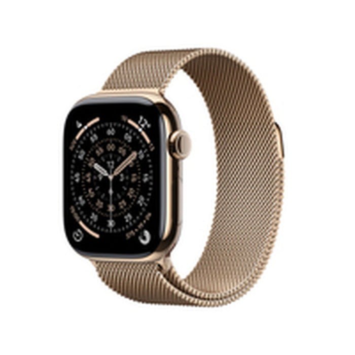 Smartwatch Apple Titanium