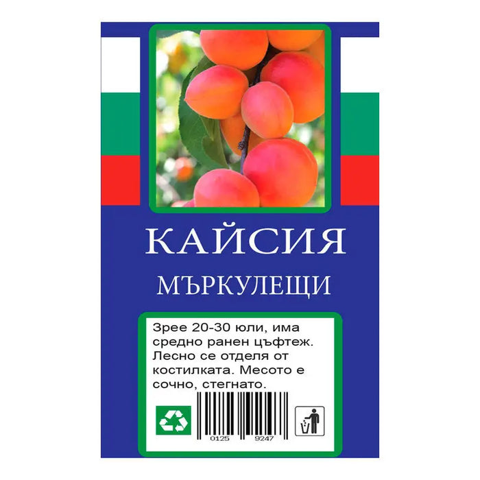 APRICOT WITH PACKAGED ROOT - Овошки<<<Външни растения<<<Градина<<<Praktiker