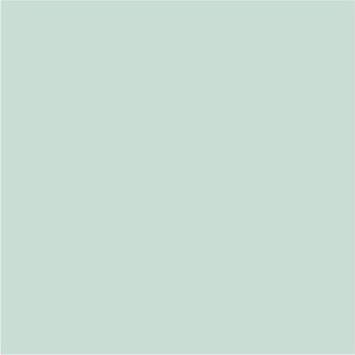 INTERIOR PAINT WITH SILICONE WEEPING WILLOW 2.5 L AQUIS