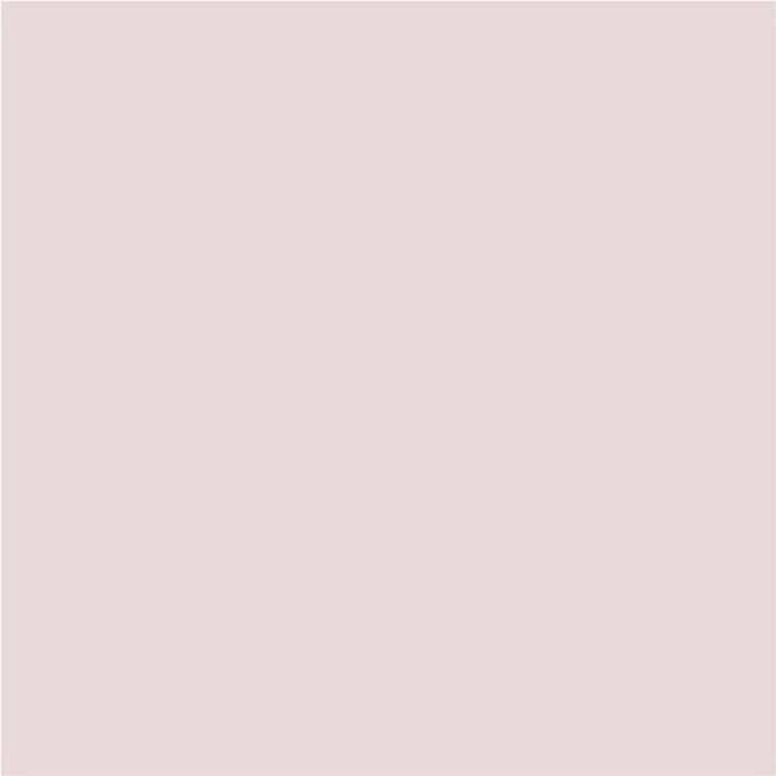 INTERIOR PAINT WITH SILICONE STRAWBERRY SHAKE 2.5 L AQUIS