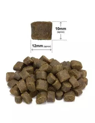 ARQUIVET Fresh Duck with ocean fish - semi-moist dog food - 10 kg