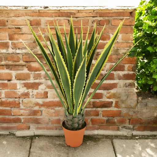 ARTIFICIAL AGAVE PLANT 135CM HD HD-10987 - Изкуствени растения<<<Стайни растения<<<Градина<<<Praktiker