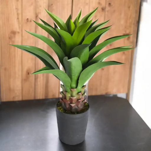 ARTIFICIAL AGAVE PLANT 82CM HD HD-10986 - Изкуствени растения<<<Стайни растения<<<Градина<<<Praktiker