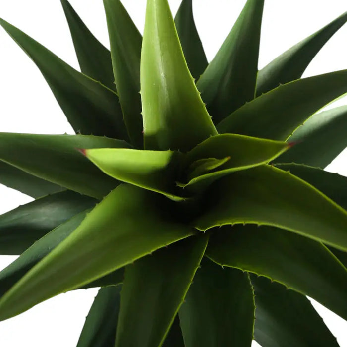 ARTIFICIAL AGAVE PLANT 82CM HD HD-10986 - Изкуствени растения<<<Стайни растения<<<Градина<<<Praktiker