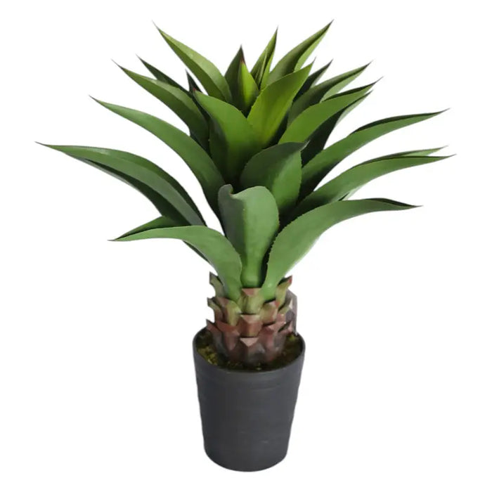 ARTIFICIAL AGAVE PLANT 82CM HD HD-10986 - Изкуствени растения<<<Стайни растения<<<Градина<<<Praktiker