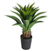 ARTIFICIAL AGAVE PLANT 82CM HD HD-10986 - Изкуствени растения<<<Стайни растения<<<Градина<<<Praktiker