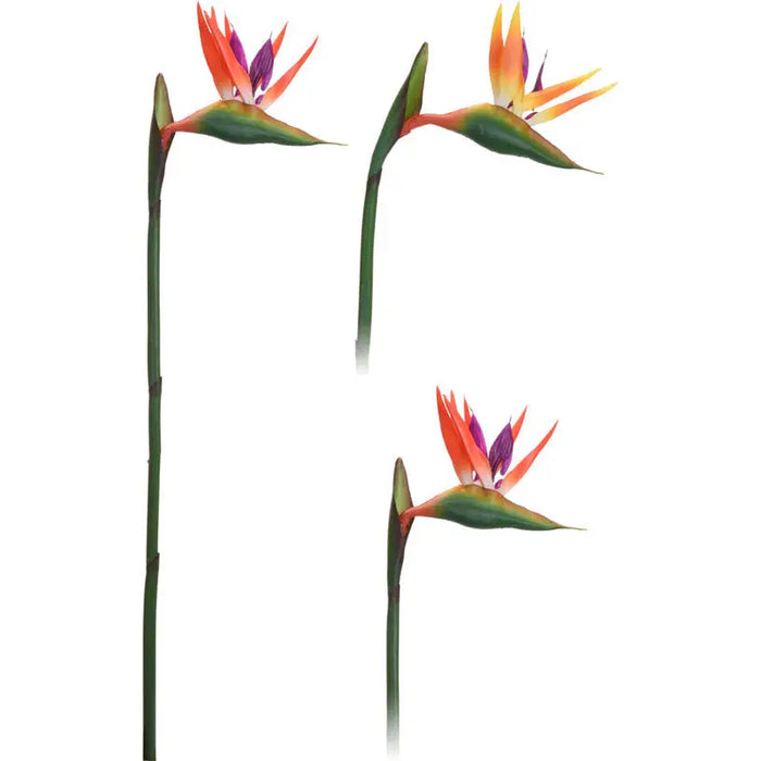 ARTIFICIAL FLOWER STREETSIA 80CM H & S COLLECTION 318800120 - Изкуствени растения<<<Стайни