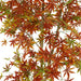 ARTIFICIAL MAPLE PLANT 140CM HD HD-10981 - Изкуствени растения<<<Стайни растения<<<Градина<<<Praktiker