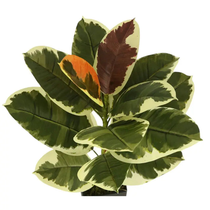 ARTIFICIAL PLANT AGLAONEMA 60CM HD HD-10976 - Изкуствени растения<<<Стайни растения<<<Градина<<<Praktiker