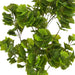 ARTIFICIAL PLANT GINKO BILOBA 115CM HD HD-10983 - Изкуствени растения<<<Стайни растения<<<Градина<<<Praktiker