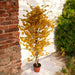 ARTIFICIAL PLANT GINKO BILOBA 145CM HD HD-10985 - Изкуствени растения<<<Стайни растения<<<Градина<<<Praktiker