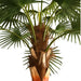 ARTIFICIAL PLANT LIVISTONE PALM 300CM HD HD-10970 - Изкуствени растения<<<Стайни растения<<<Градина<<<Praktiker