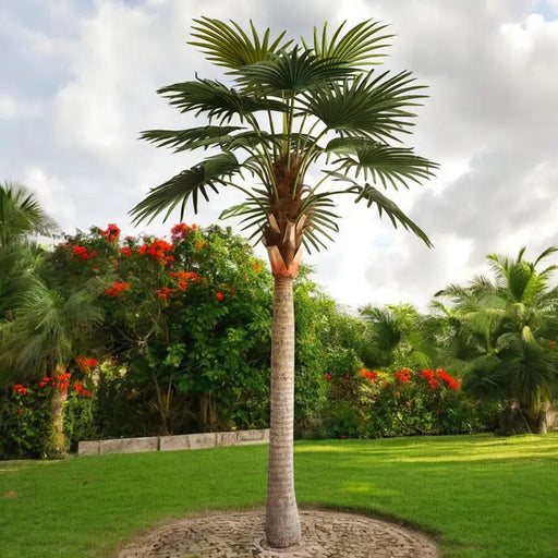 ARTIFICIAL PLANT LIVISTONE PALM 300CM HD HD-10970 - Изкуствени растения<<<Стайни растения<<<Градина<<<Praktiker