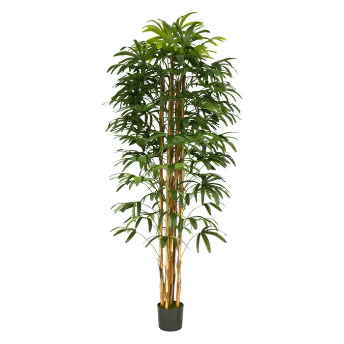 ARTIFICIAL PLANT PALM BENJAMIN 200CM HD HD-10972 - Изкуствени растения<<<Стайни растения<<<Градина<<<Praktiker