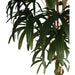 ARTIFICIAL PLANT PALM BENJAMIN 200CM HD HD-10972 - Изкуствени растения<<<Стайни растения<<<Градина<<<Praktiker