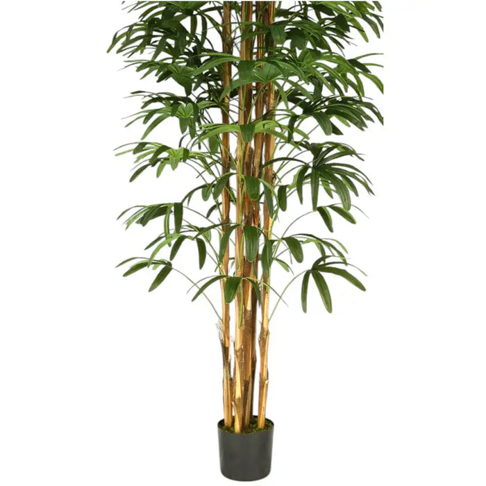 ARTIFICIAL PLANT PALM BENJAMIN 200CM HD HD-10972 - Изкуствени растения<<<Стайни растения<<<Градина<<<Praktiker