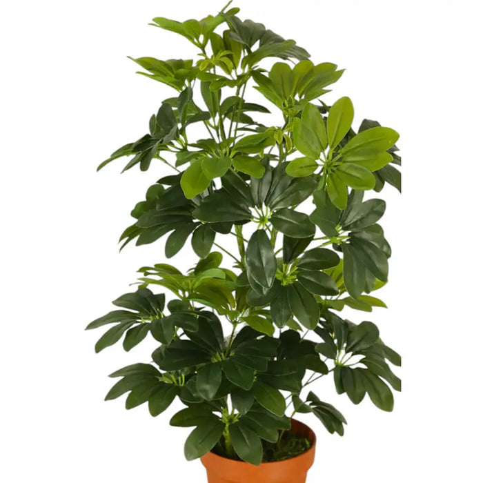 ARTIFICIAL PLANT SCHEFLERA 65CM HD HD-10980 - Изкуствени растения<<<Стайни растения<<<Градина<<<Praktiker