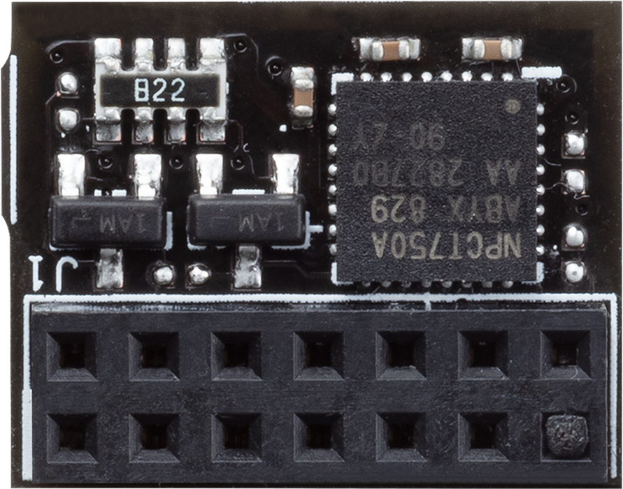 ASUS TPM-SPI security module
