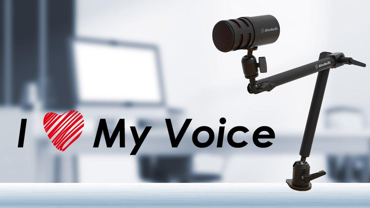 AverMedia VERSATI Go desktop microphone - AM310G2