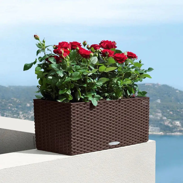 BALCONY 50CM LECHUZA COTTAGE - Сандъци<<<Саксии кашпи и цветарници<<<Градина<<<Praktiker