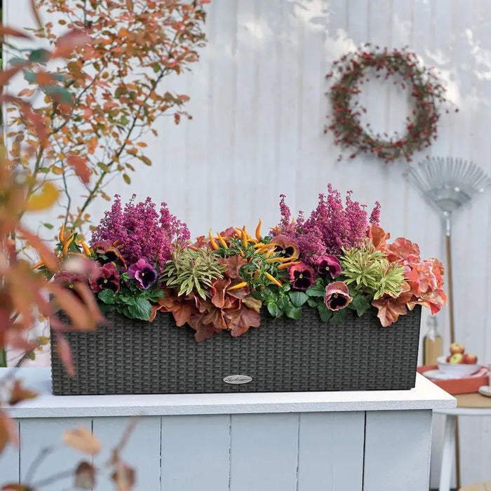 BALCONY 80CM LECHUZA COTTAGE - Сандъци<<<Саксии кашпи и цветарници<<<Градина<<<Praktiker&&&Сандъци<<<Саксии кашпи и