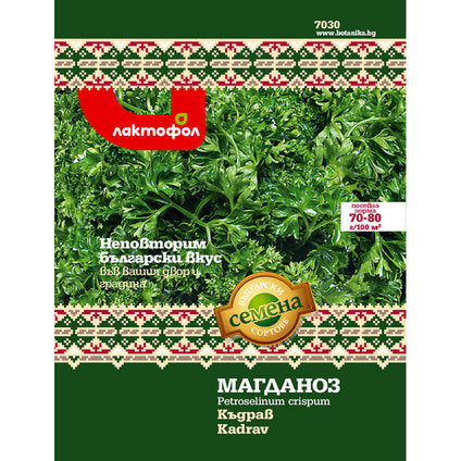 CURLY PARSLEY SEEDS BULGARIAN SEEDS