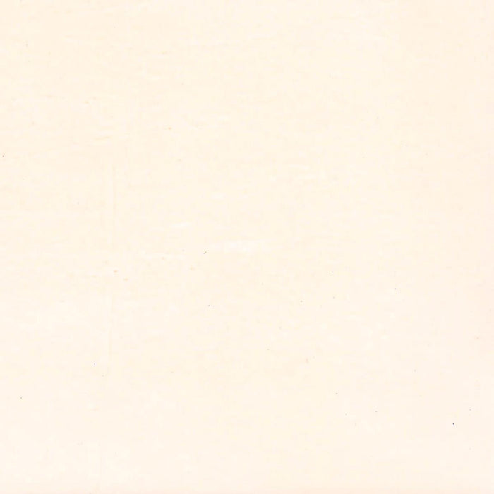 VENETIAN PLASTER STUCCO VENEZIANO 02