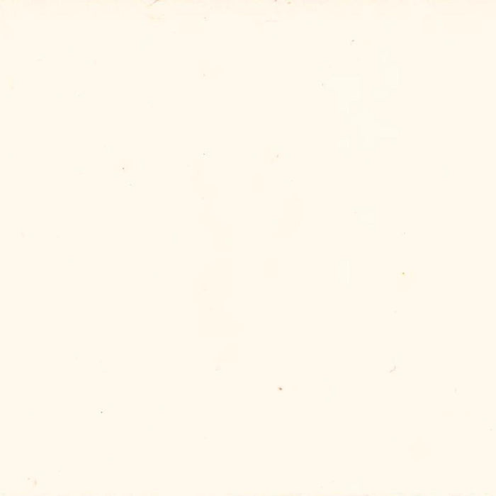 VENETIAN PLASTER STUCCO VENEZIANO 06