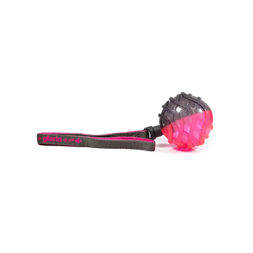 Ball Launcher for Dogs Gloria Grey Pink TPR Ball L - Домашни Животни<<<Дом Градина<<<BigBuy&&&Играчки<<<Домашни