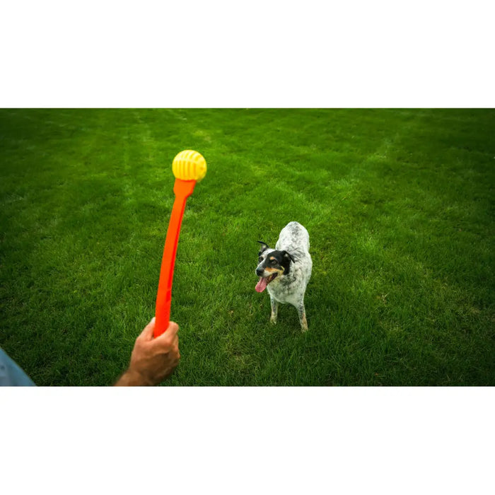 Ball Launcher for Dogs Hunter Yellow Orange Rubber Ball - Домашни Животни<<<Дом Градина<<<BigBuy&&&Играчки<<<Домашни