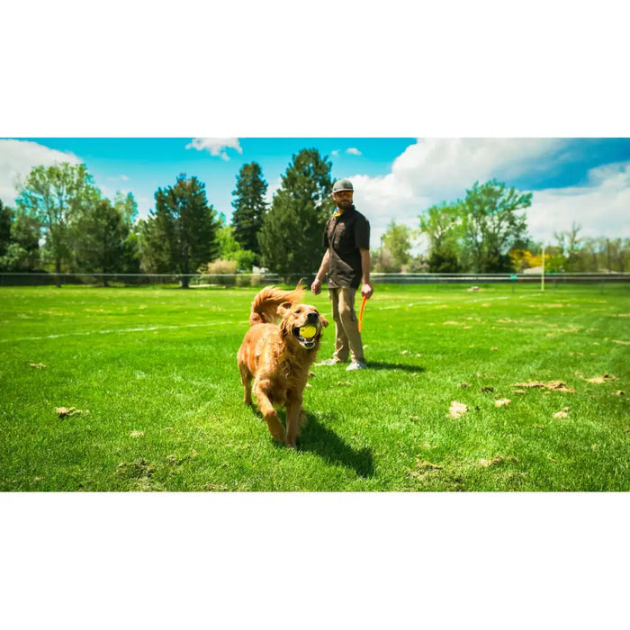 Ball Launcher for Dogs Hunter Yellow Orange Rubber Ball - Домашни Животни<<<Дом Градина<<<BigBuy&&&Играчки<<<Домашни