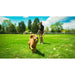 Ball Launcher for Dogs Hunter Yellow Orange Rubber Ball - Домашни Животни<<<Дом Градина<<<BigBuy&&&Играчки<<<Домашни