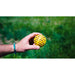 Ball Launcher for Dogs Hunter Yellow Orange Rubber Ball - Домашни Животни<<<Дом Градина<<<BigBuy&&&Играчки<<<Домашни