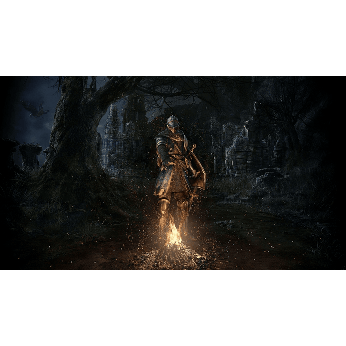 Dark Souls Trilogy Game (PS4)