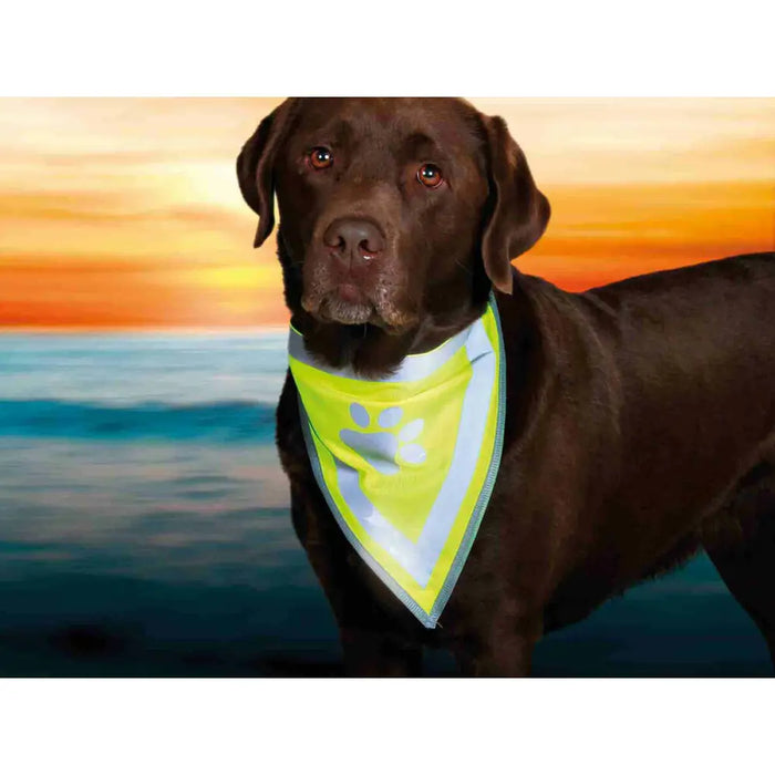 Bandana Trixie - Домашни Животни<<<Дом Градина<<<BigBuy&&&Пътуване и разходки<<<Домашни Животни<<<Дом Градина<<<BigBuy