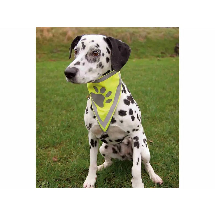 Bandana Trixie - Домашни Животни<<<Дом Градина<<<BigBuy&&&Пътуване и разходки<<<Домашни Животни<<<Дом Градина<<<BigBuy