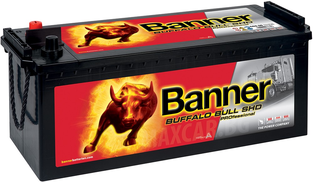 BANNER BUFFALO BULL SHD PRO 180AH 1000A L+