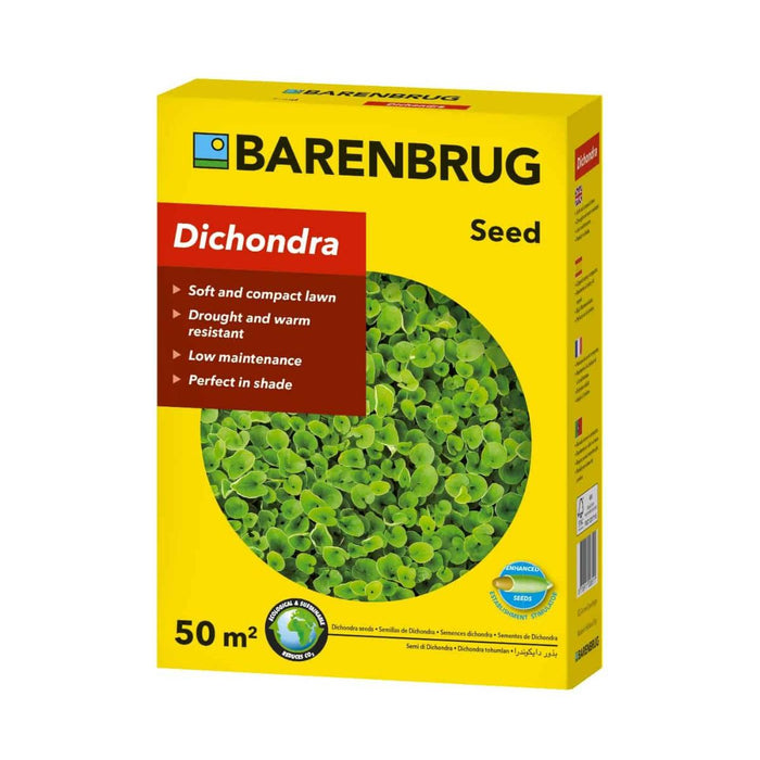 DICHONDRA 500 GR 50 SQ.M.
