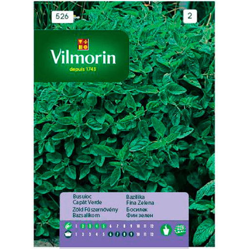 BASIL SEEDS COMMON VILMORIN - Семена<<<Семена луковици и разсад<<<Градина<<<Praktiker