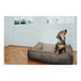 Bed for Dogs Hunter Lancaster Brown (120 x 90 cm) - Домашни Животни<<<Дом Градина<<<BigBuy&&&Къщички и