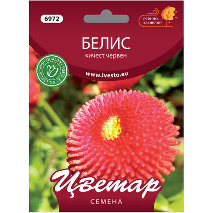 BELIS SEEDS KICHEST RED FLOWER - Семена<<<Семена луковици и разсад<<<Градина<<<Praktiker